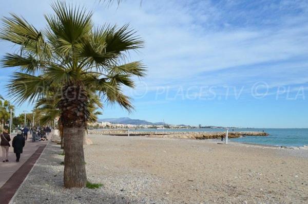 Grand Studio Tres Agreable Avec Bar, Cuisine Et Terrasse Cagnes-sur-Mer Exterior foto